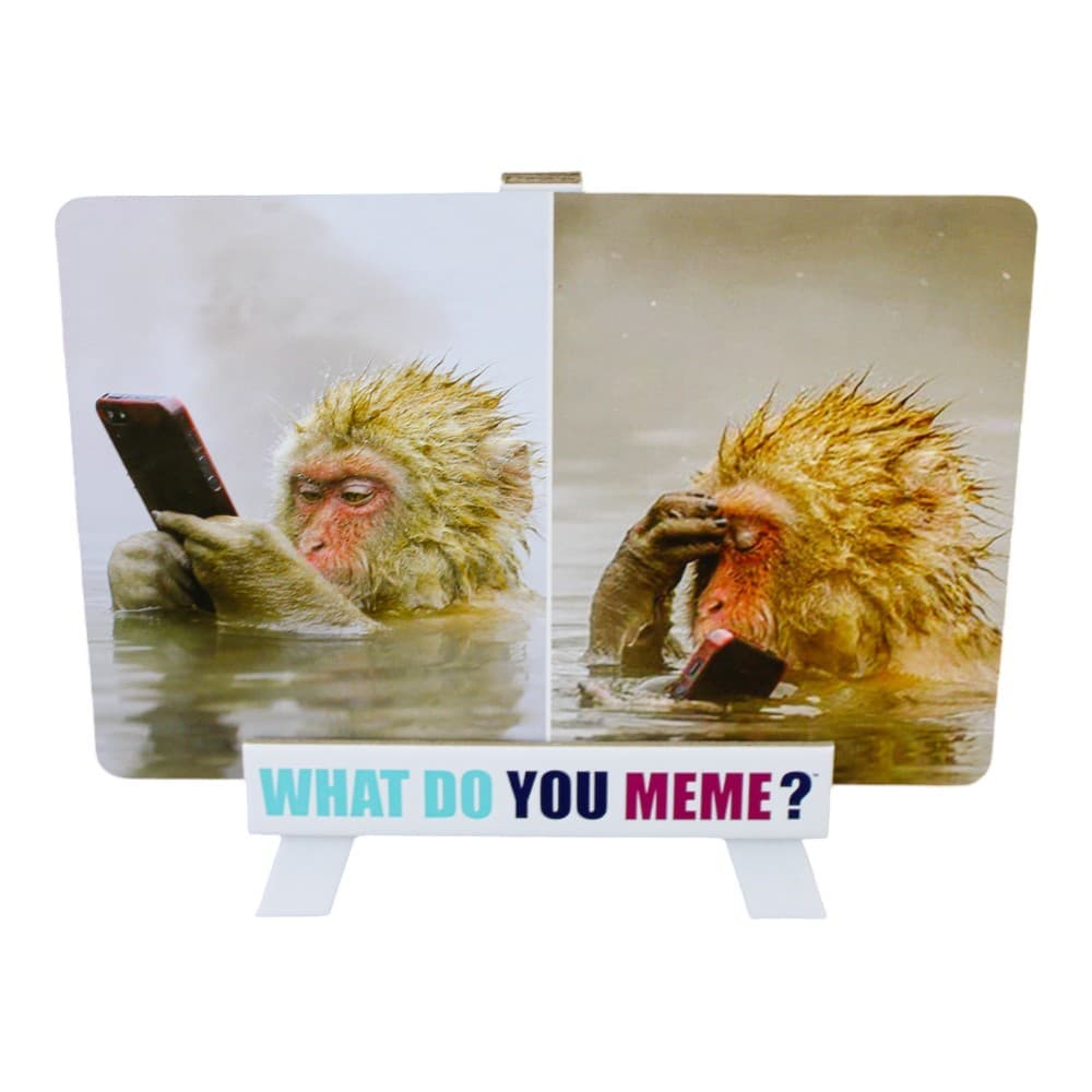 What Do You Meme Game Fifth Alternate Image