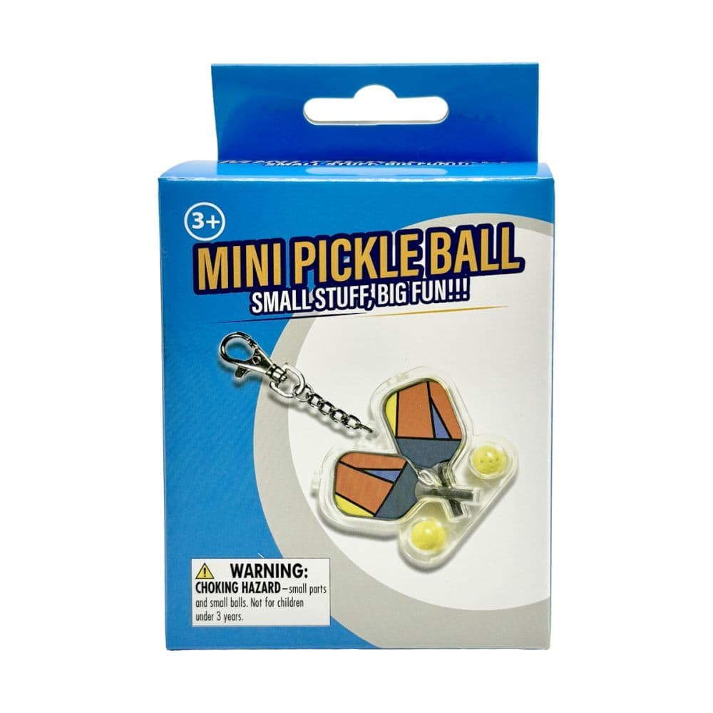 Mini Pickle Ball Main Image
