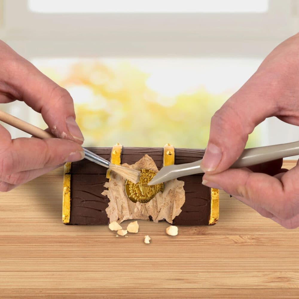 National Geographic Gold Doubloon Dig Kit First Alternate Image