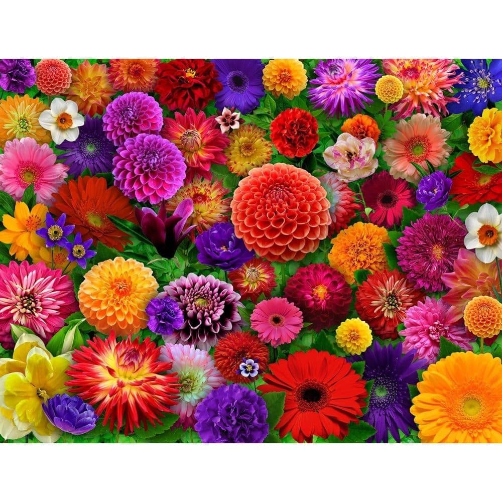 Blooming Every Daisy 500 Piece Puzzle First Alternate Image