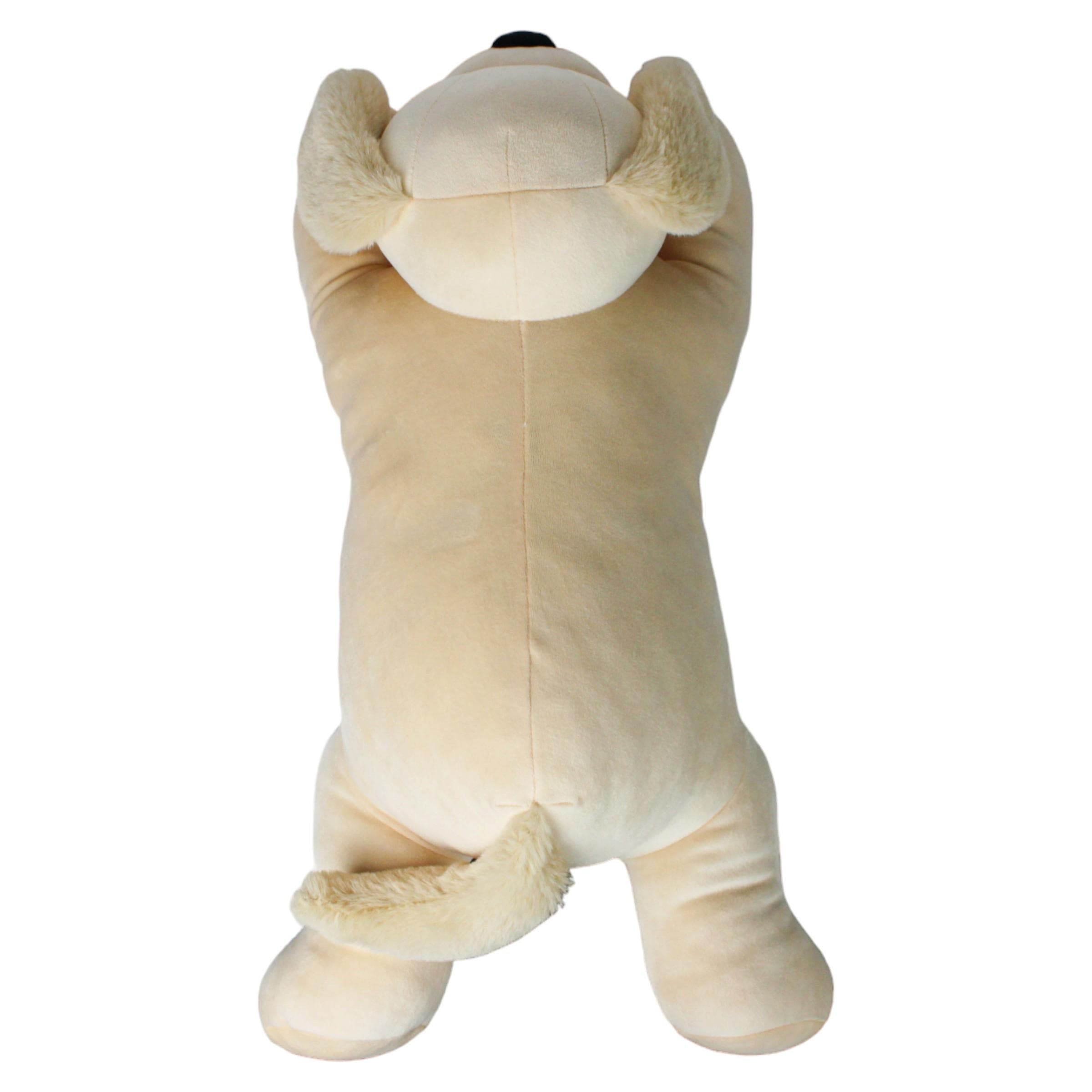 Poppy the Goldendoodle Third Alternate Image width="1000" height="1000"