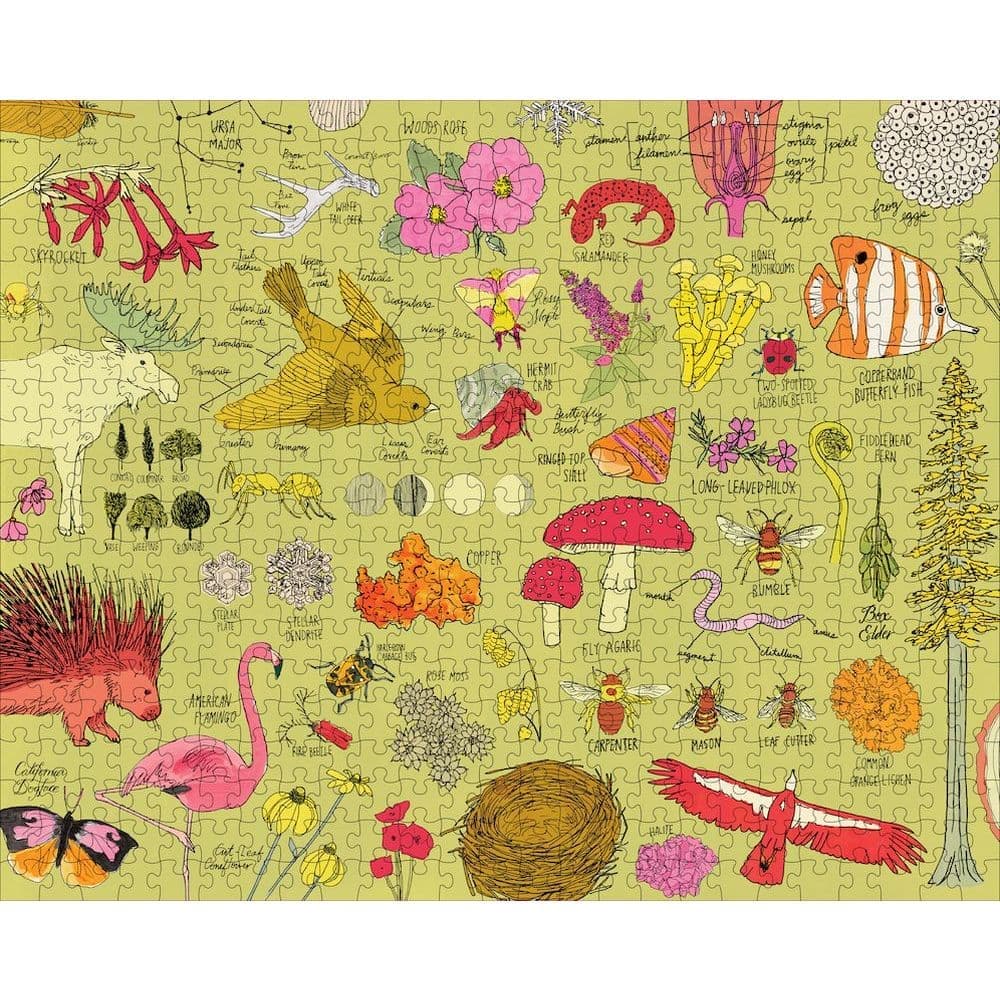 Nature Anatomy 500 Piece Puzzle Second Alternate Image