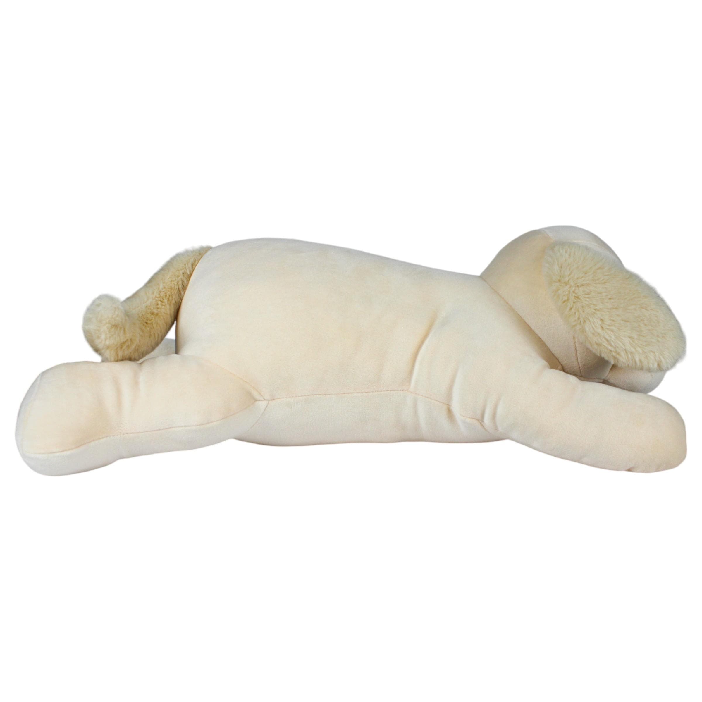 Poppy the Goldendoodle Second Alternate Image width="1000" height="1000"