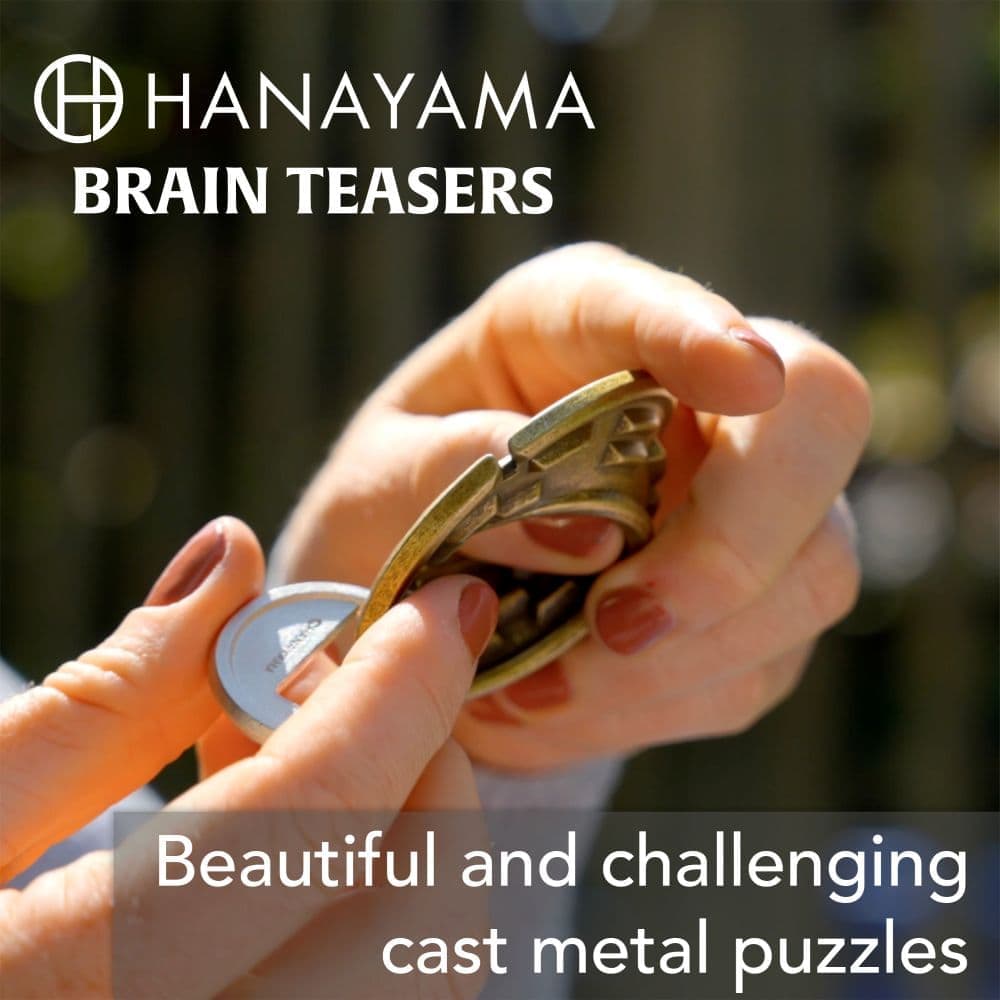 Ripple Hanayama Cast Metal Brain Teaser Second Alternate Image