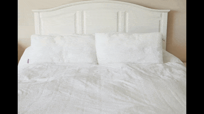 snoozimals animated gif width="1000" height="1000"